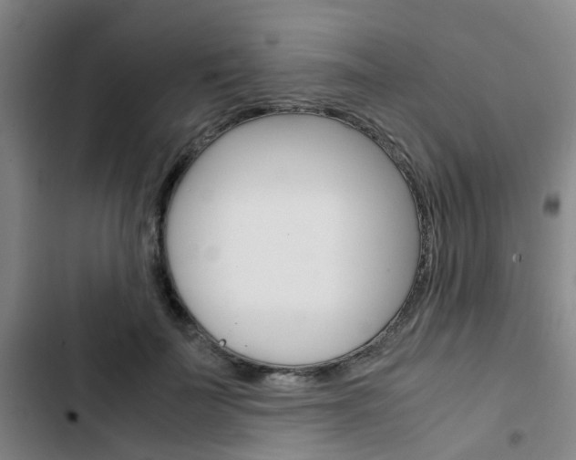 X0000103330699200809051022