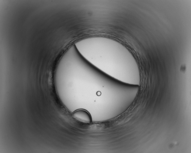 X0000103330700200809051022