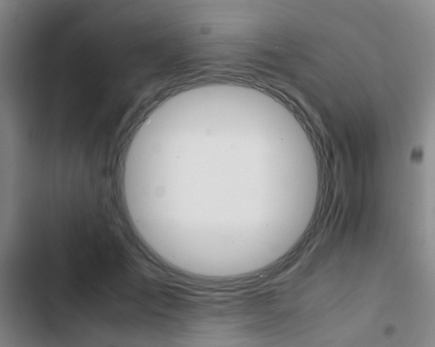 X0000103330701200809051022