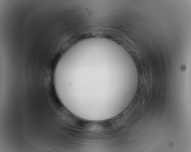X0000103330702200809051022