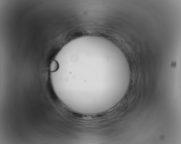 X0000103330703200809051022