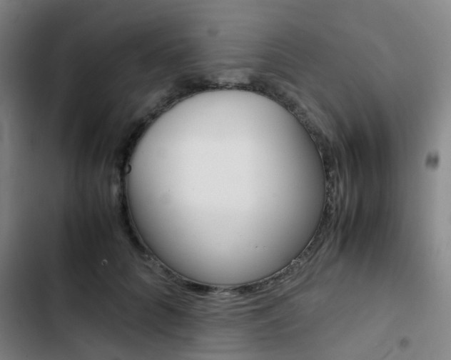 X0000103330704200809051022