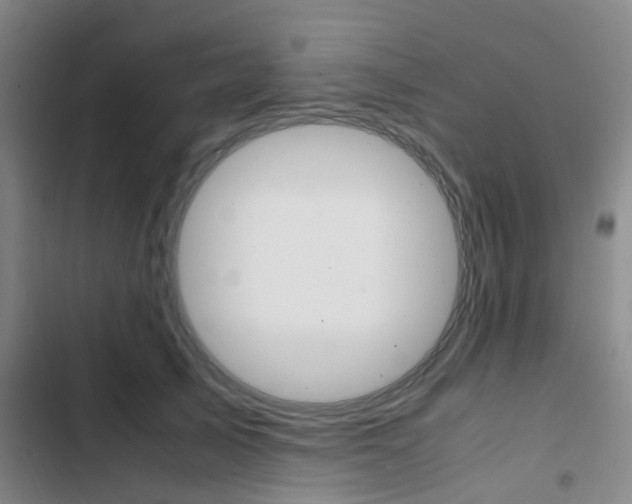 X0000103330705200809051022