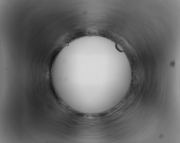 X0000103330706200809051022