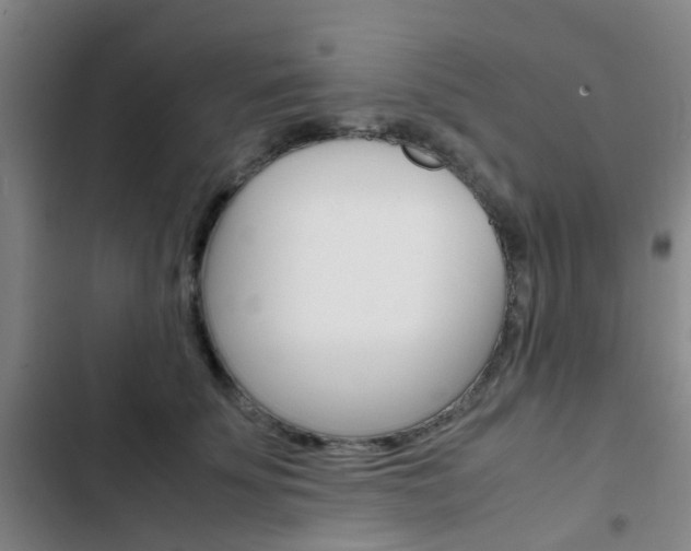 X0000103330707200809051022