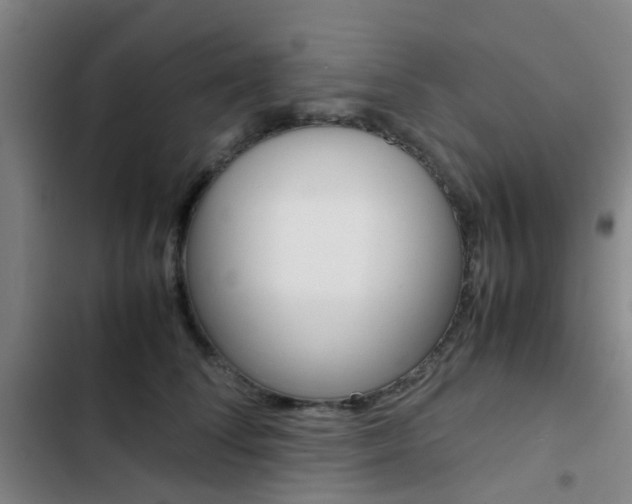 X0000103330708200809051022