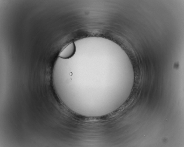 X0000103330710200809051022
