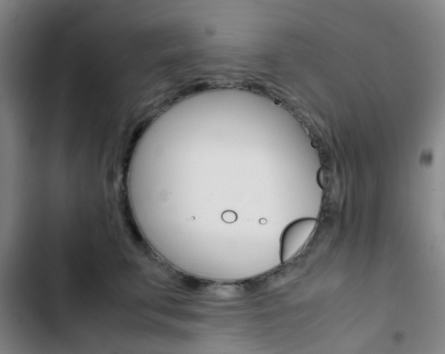 X0000103330711200809051022
