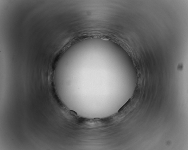 X0000103330712200809051022
