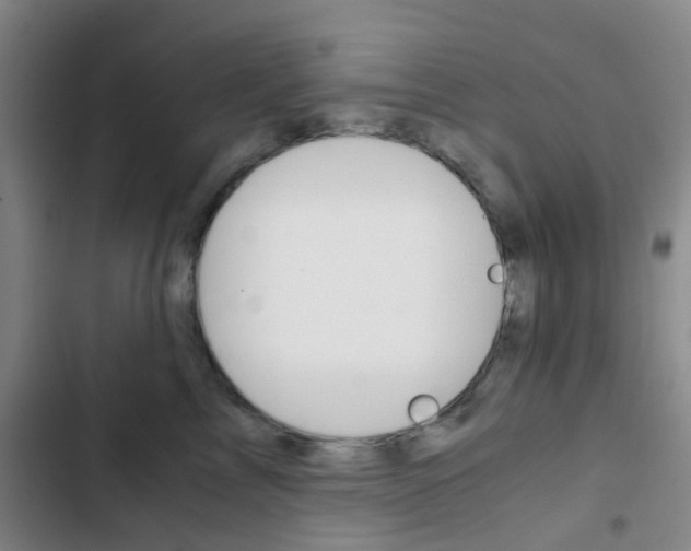 X0000103330713200809051022