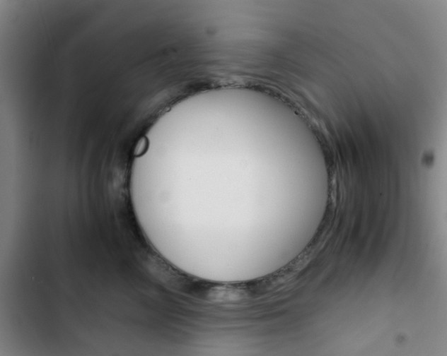 X0000103330714200809051022