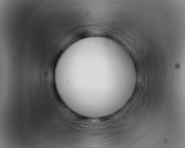 X0000103330715200809051022