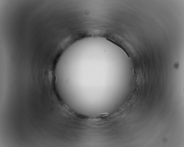 X0000103330716200809051022