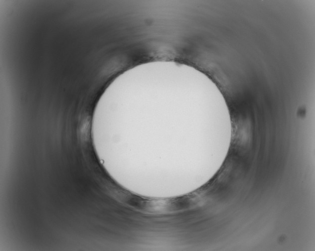 X0000103330717200809051022