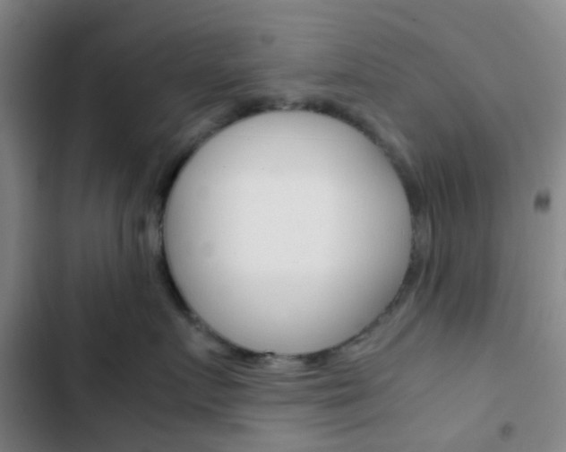 X0000103330719200809051022