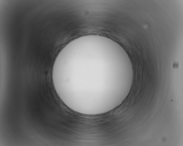 X0000103330720200809051022