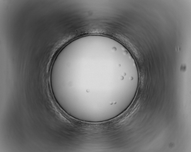 X0000103330721200809051021