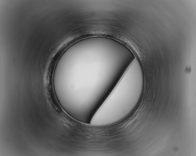 X0000103330723200809051021