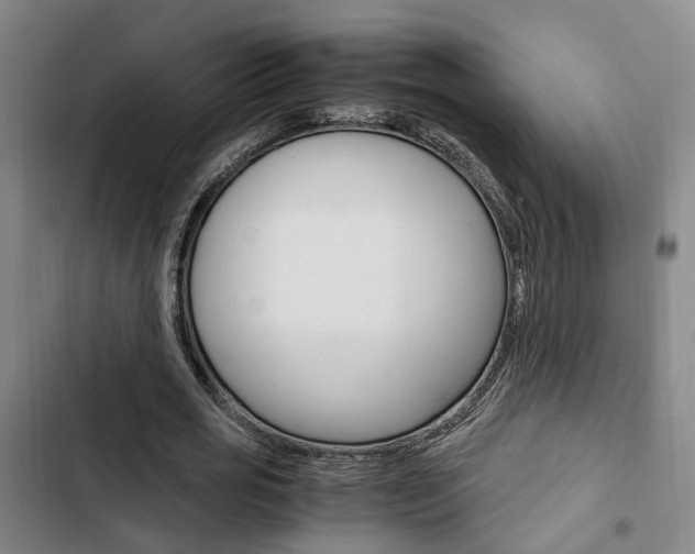 X0000103330725200809051021