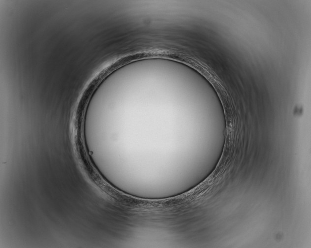 X0000103330726200809051021
