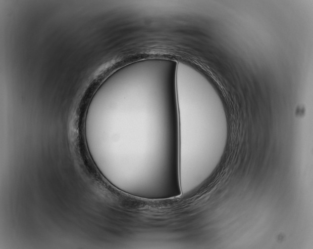 X0000103330727200809051021