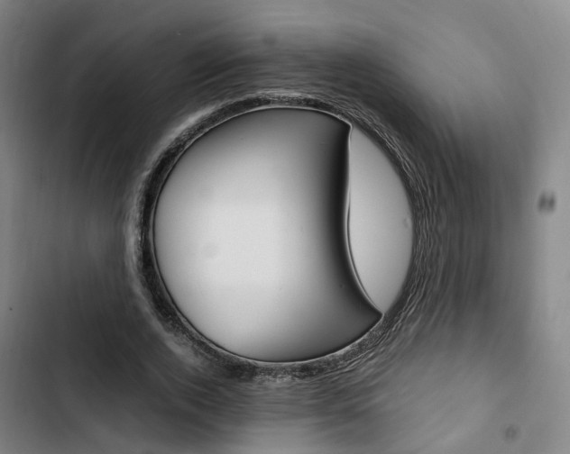X0000103330728200809051021