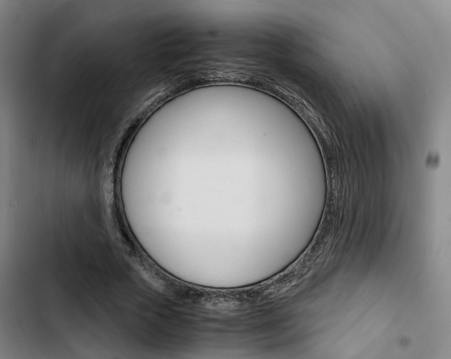 X0000103330729200809051021