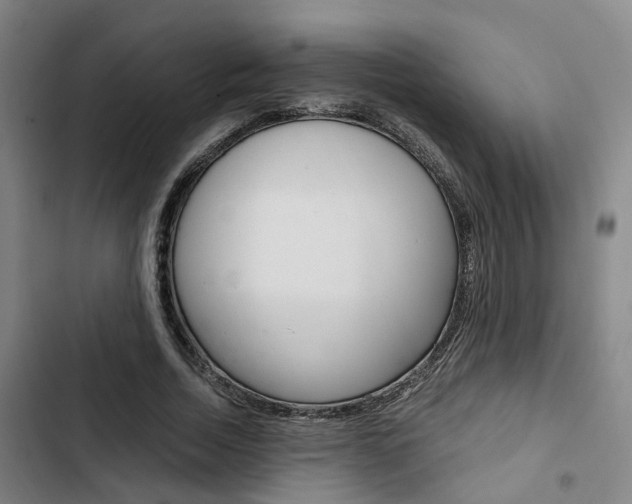 X0000103330730200809051021