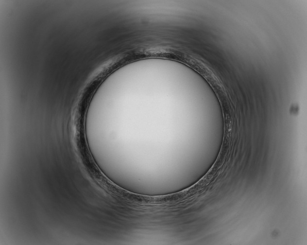 X0000103330732200809051022
