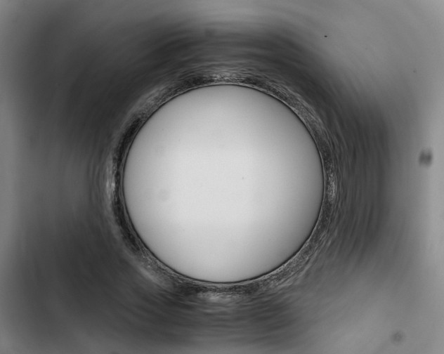 X0000103330733200809051022