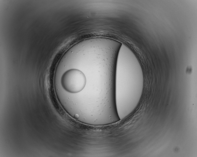 X0000103330734200809051022