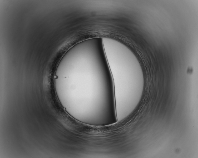X0000103330735200809051022