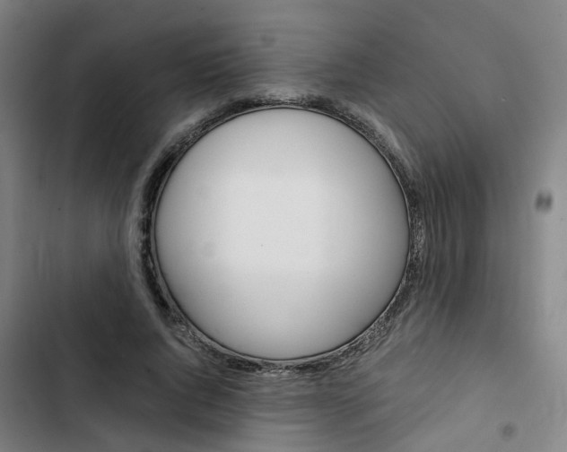 X0000103330736200809051022