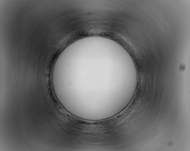 X0000103330737200809051022