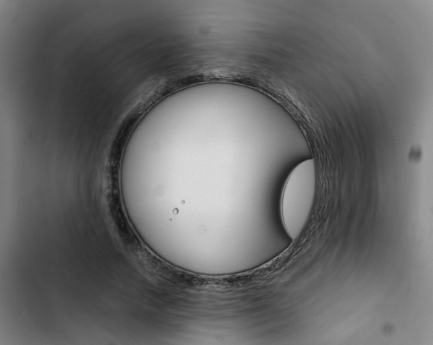 X0000103330738200809051022