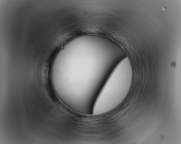 X0000103330739200809051022