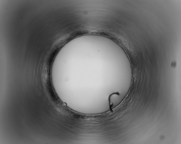 X0000103330740200809051022