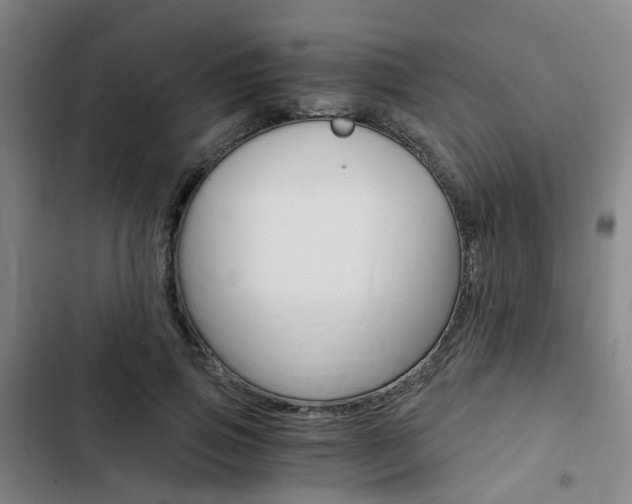 X0000103330741200809051022