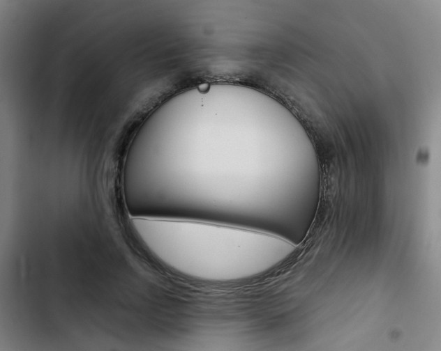 X0000103330742200809051022