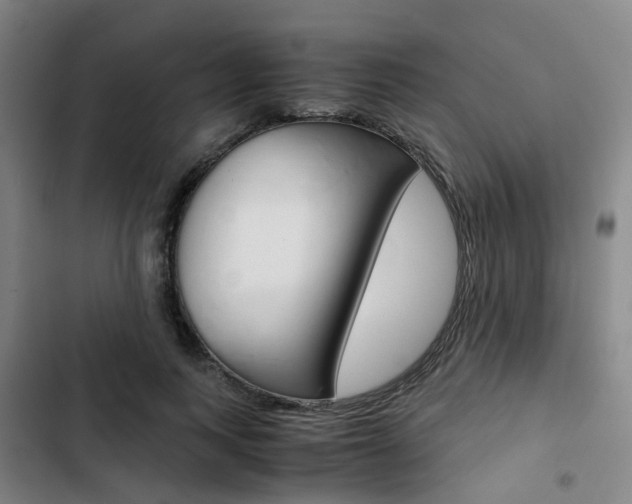 X0000103330743200809051022