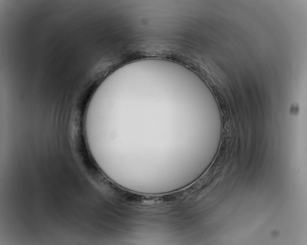 X0000103330744200809051022