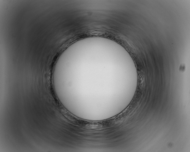X0000103330745200809051022