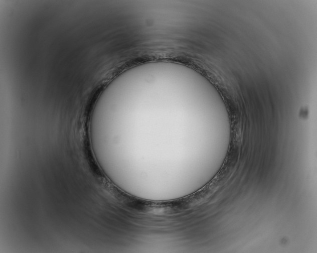 X0000103330746200809051022