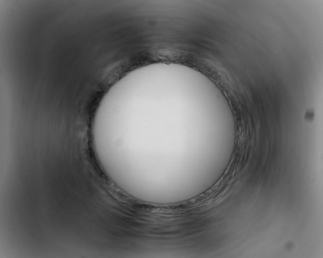 X0000103330749200809051022