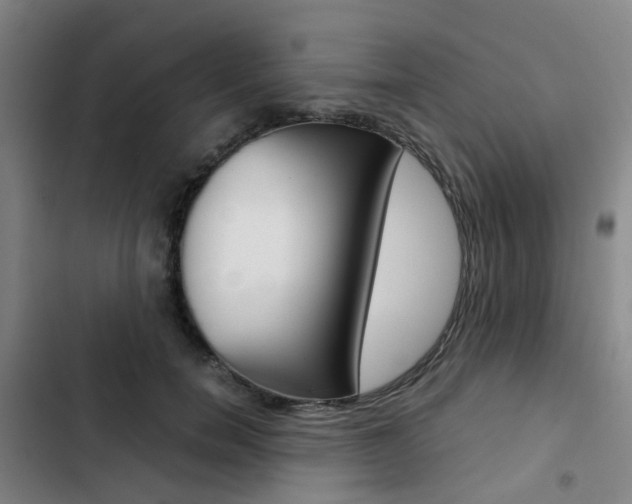 X0000103330750200809051022