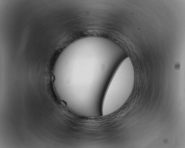 X0000103330751200809051022