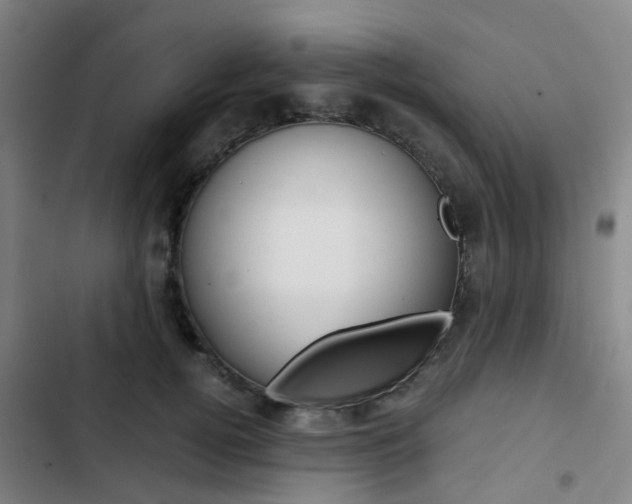 X0000103330752200809051022