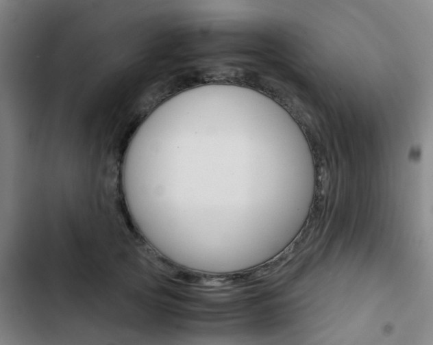 X0000103330753200809051022