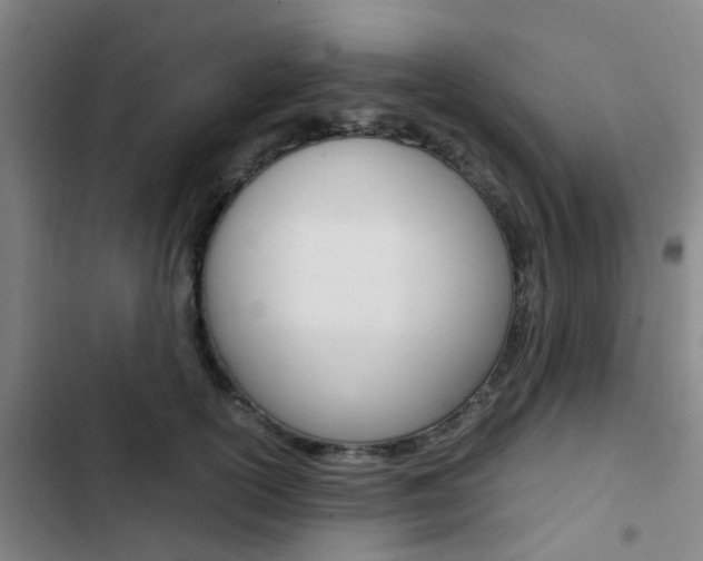 X0000103330754200809051022