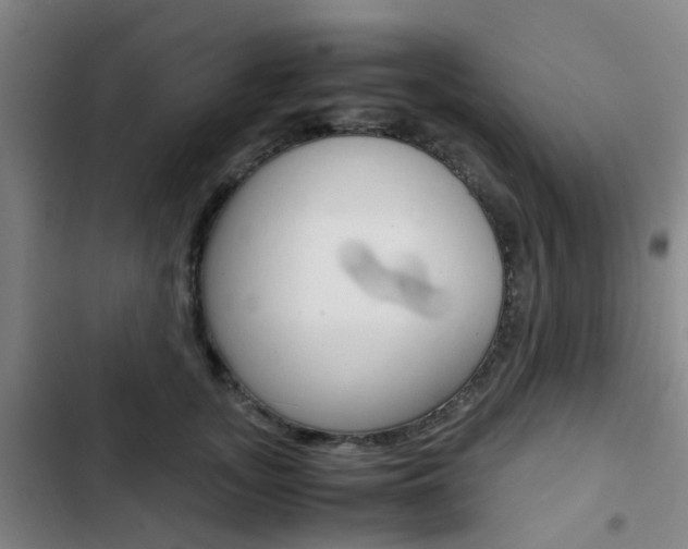 X0000103330755200809051022
